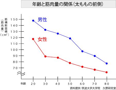 「筋力低下 年齢 グラフ」の画像検索結果