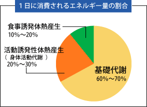 １日に消費されるエネルギー量の割合